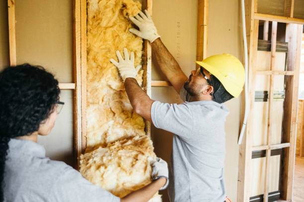 Best Soundproof Insulation Installation  in USA